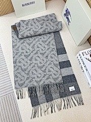 burbery page 1 t (101)