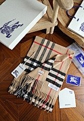 burbery page 1 t (115)