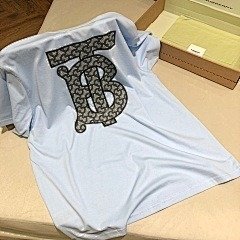 burbery page 1 t (42)