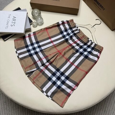 burbery page 1 t (6)