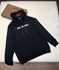 burbery page 1 t (61)