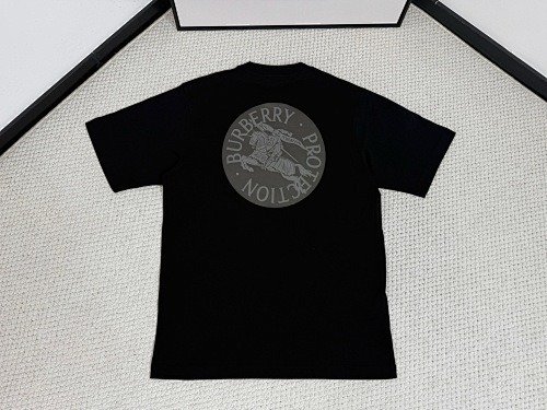 burbery page 2 t (29)