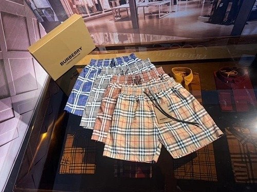 burbery page 2 t (30)