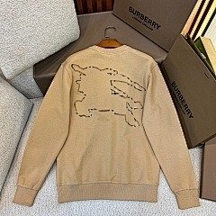 burbery page 2 t (43)