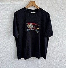 burbery page 2 t (60)