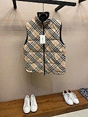 burbery page 2 t (65)