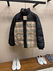 burbery page 2 t (66)