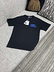 burbery page 2 t (75)