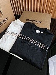 burbery page 3 t (16)