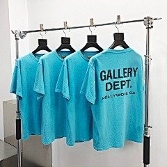 galler dept page 1 t (77)