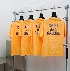 galler dept page 2 t (119)